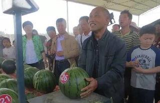 乐陵吃瓜群众,吃瓜群众的热议焦点